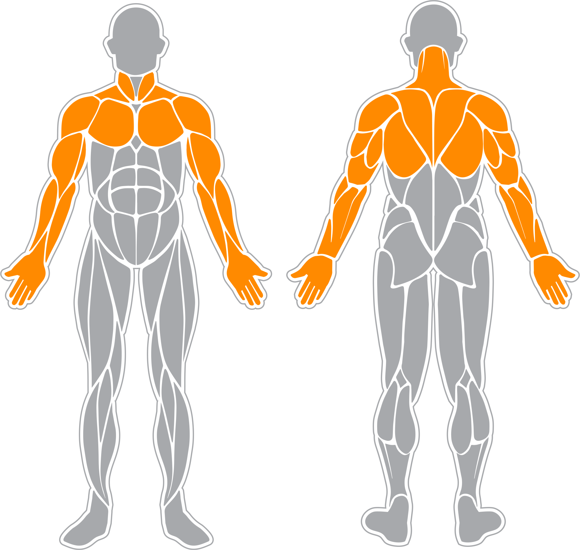 body-diagram-Img